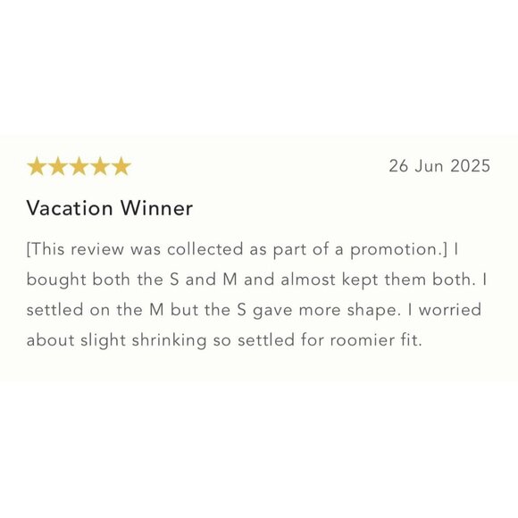 NWT Size XL - Anthro Celandine Linen Blend Pom-Pom Mini Shift Dress (NWT US$ 88) - Picture 5 of 16